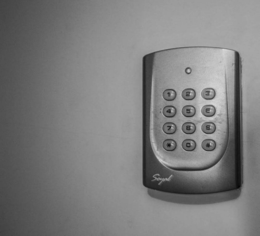 Фото Treestyle Hostel