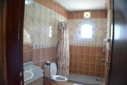 Фото Nile Valley Hotel & Restaurant