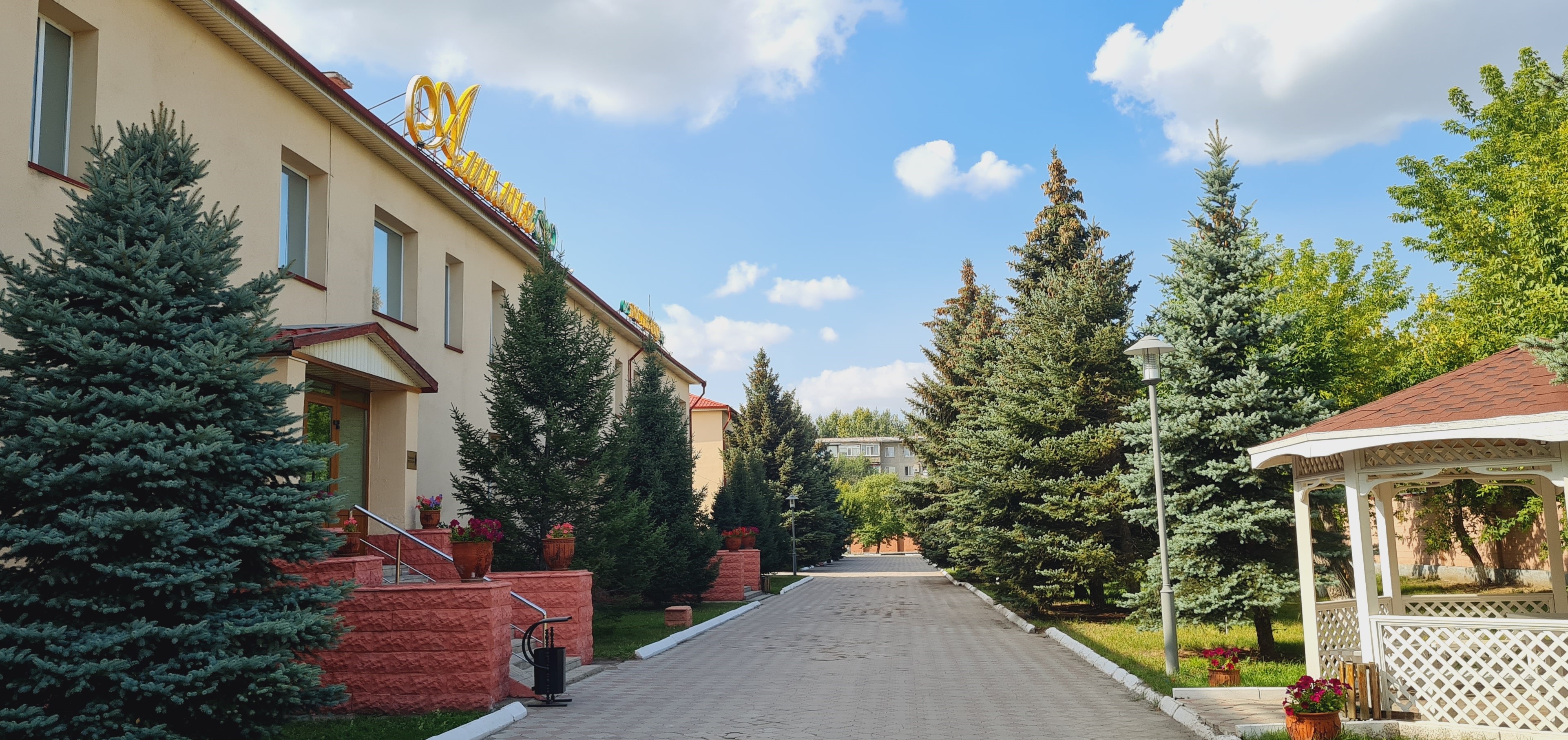 Фото Амилия