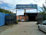 Mister-fish (Artilleriyskaya Street, 1А) ، الأسماك والمأكولات البحرية
