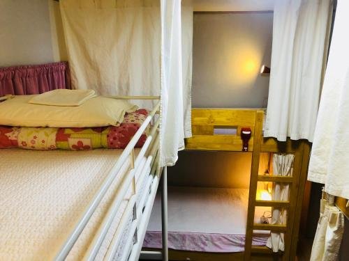 Фото Jeju Green Day Guesthouse