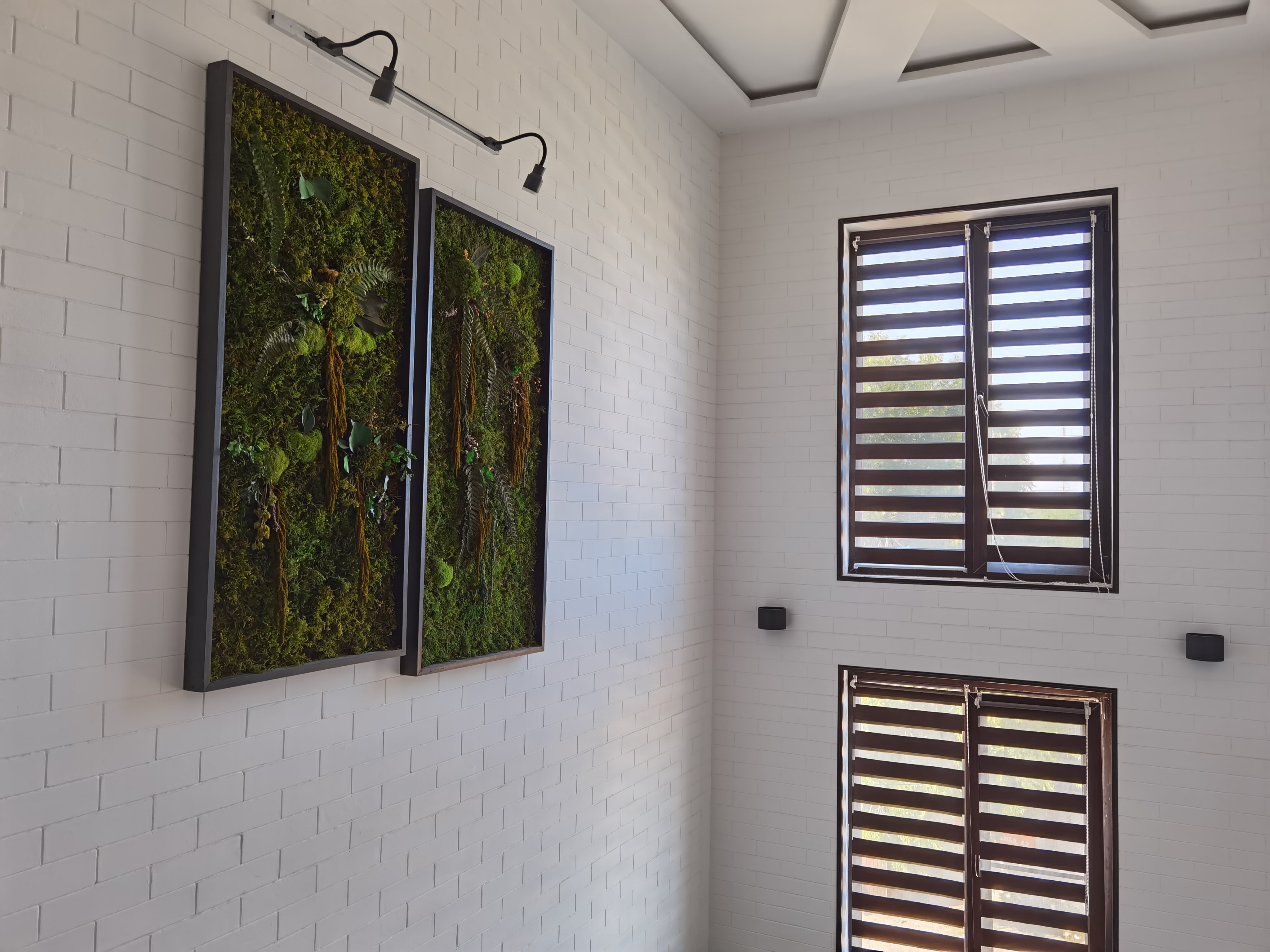 Фото Премьер