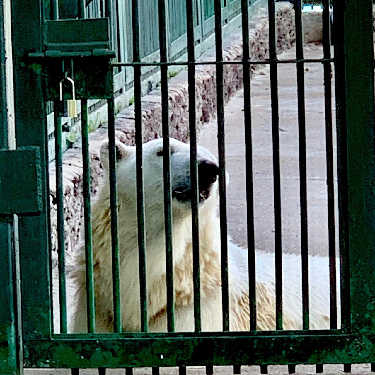 Фото Lesnaya Skazka