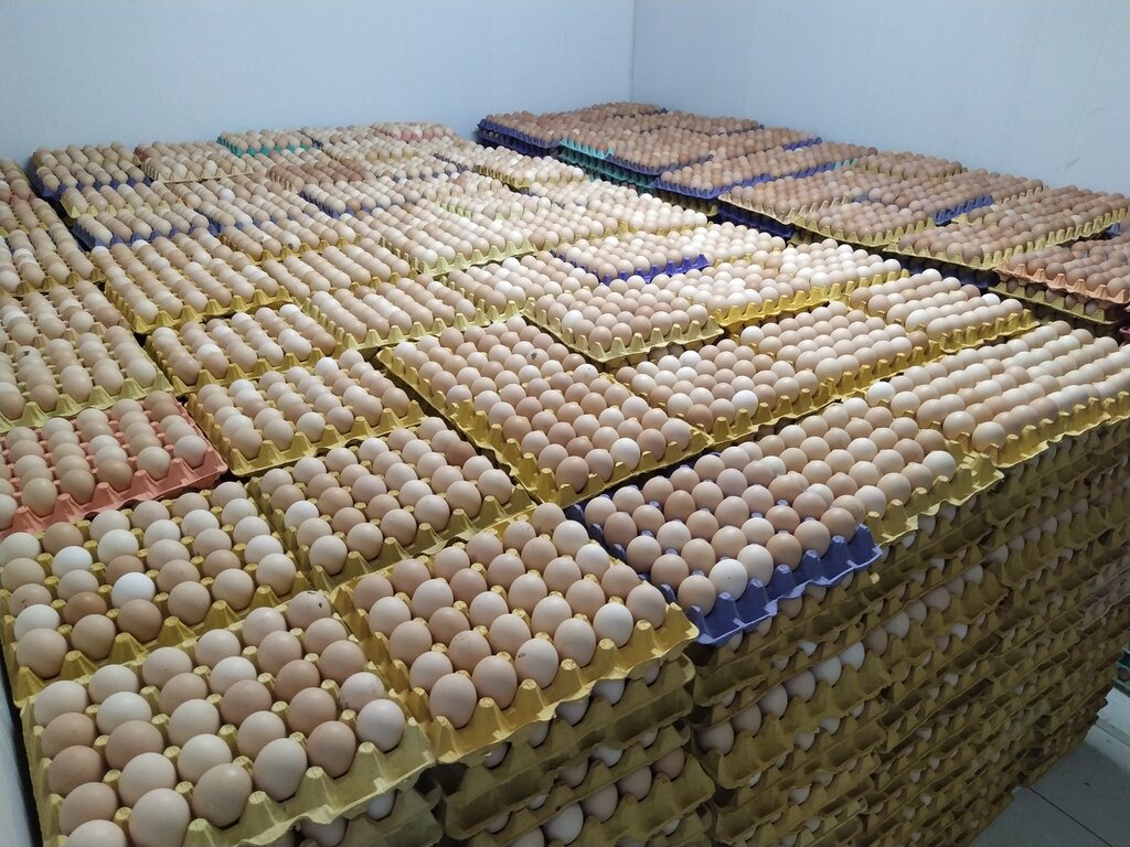Egg and poultry meat Extra Egg, Hendek, photo