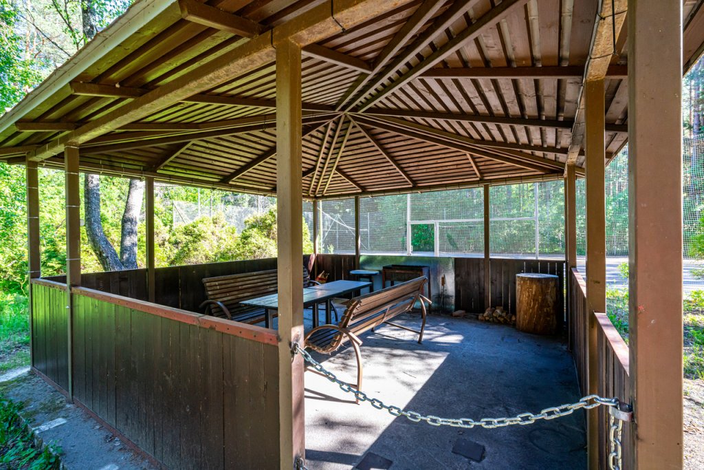 Фото Архитектура здоровья