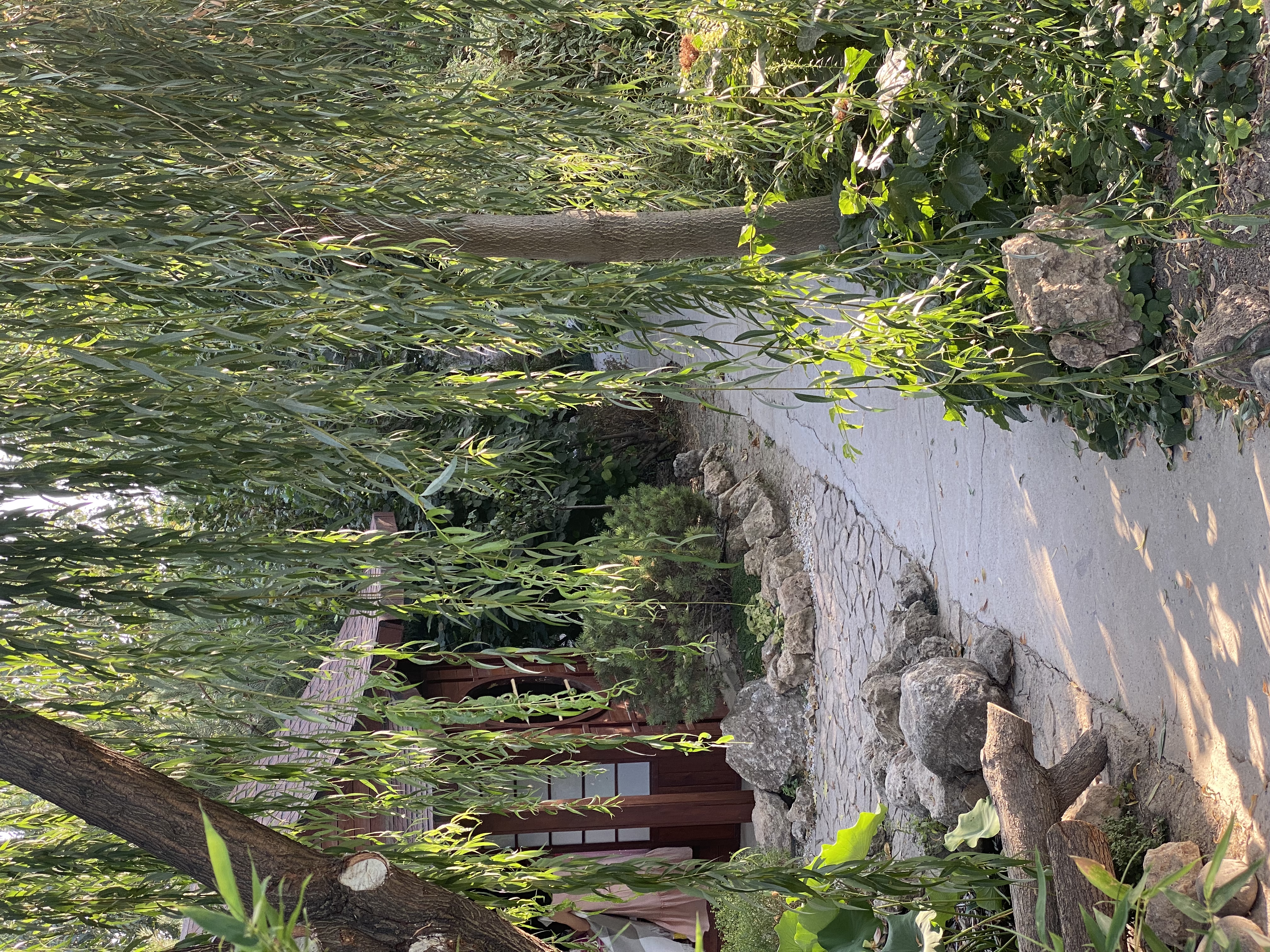 Фото Uzumfermer. uz