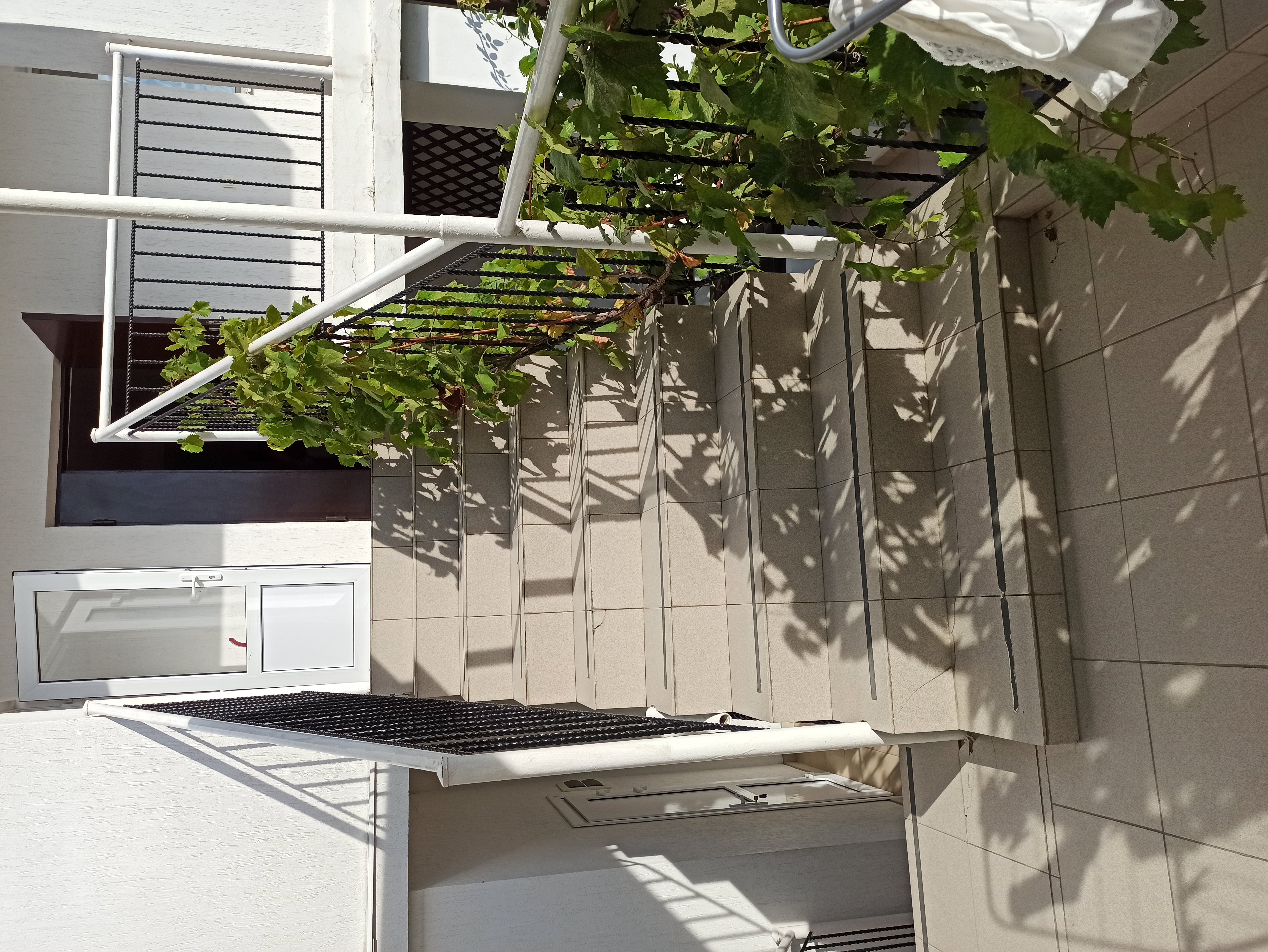 Фото Николь