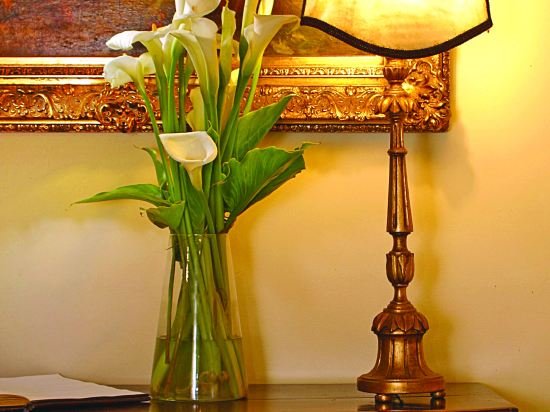 Фото Отель Quinta da Bela Vista