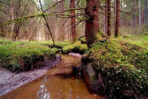 Гостиница Residence Vis à Vis