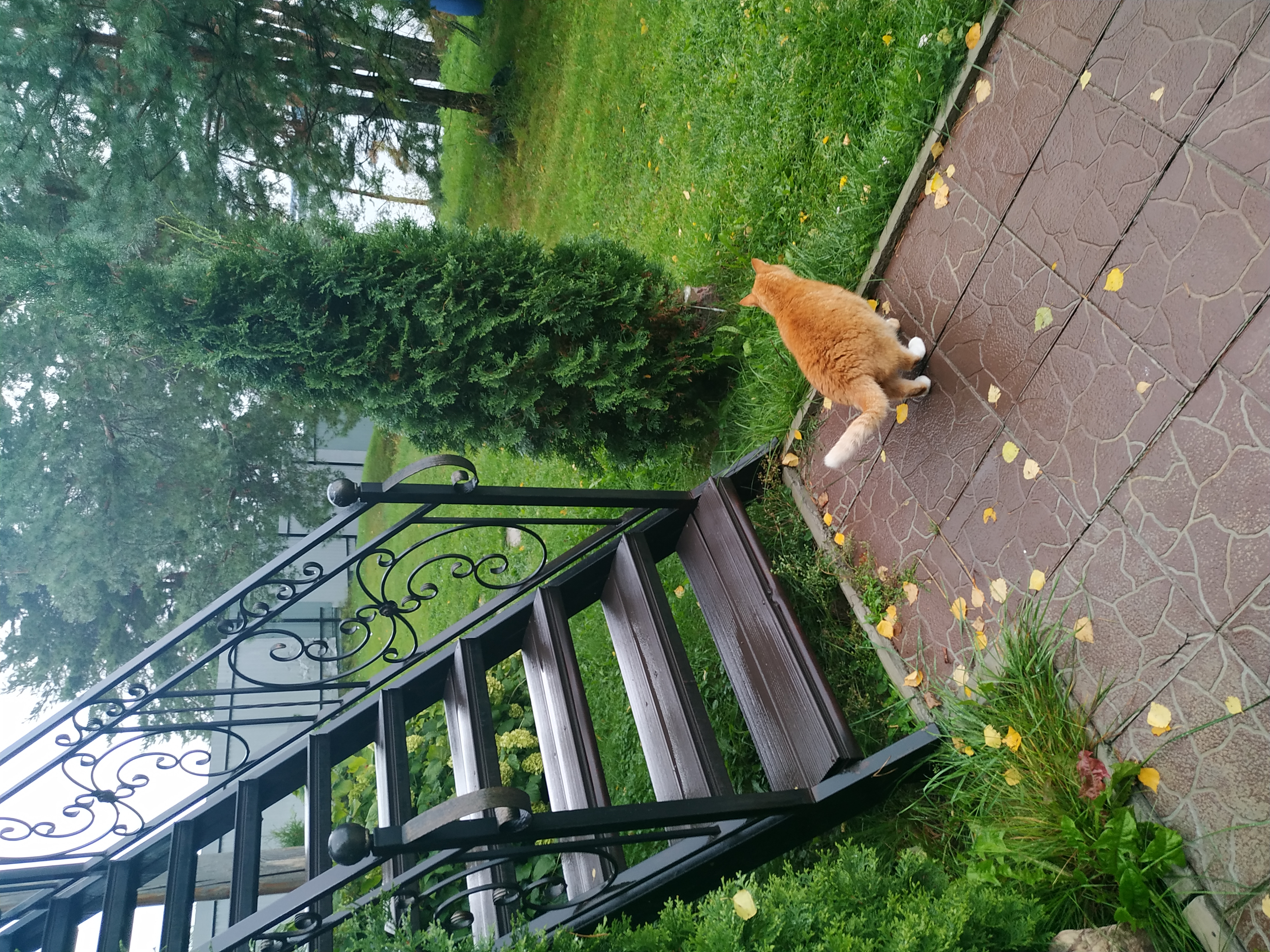 Фото Глаз Орла