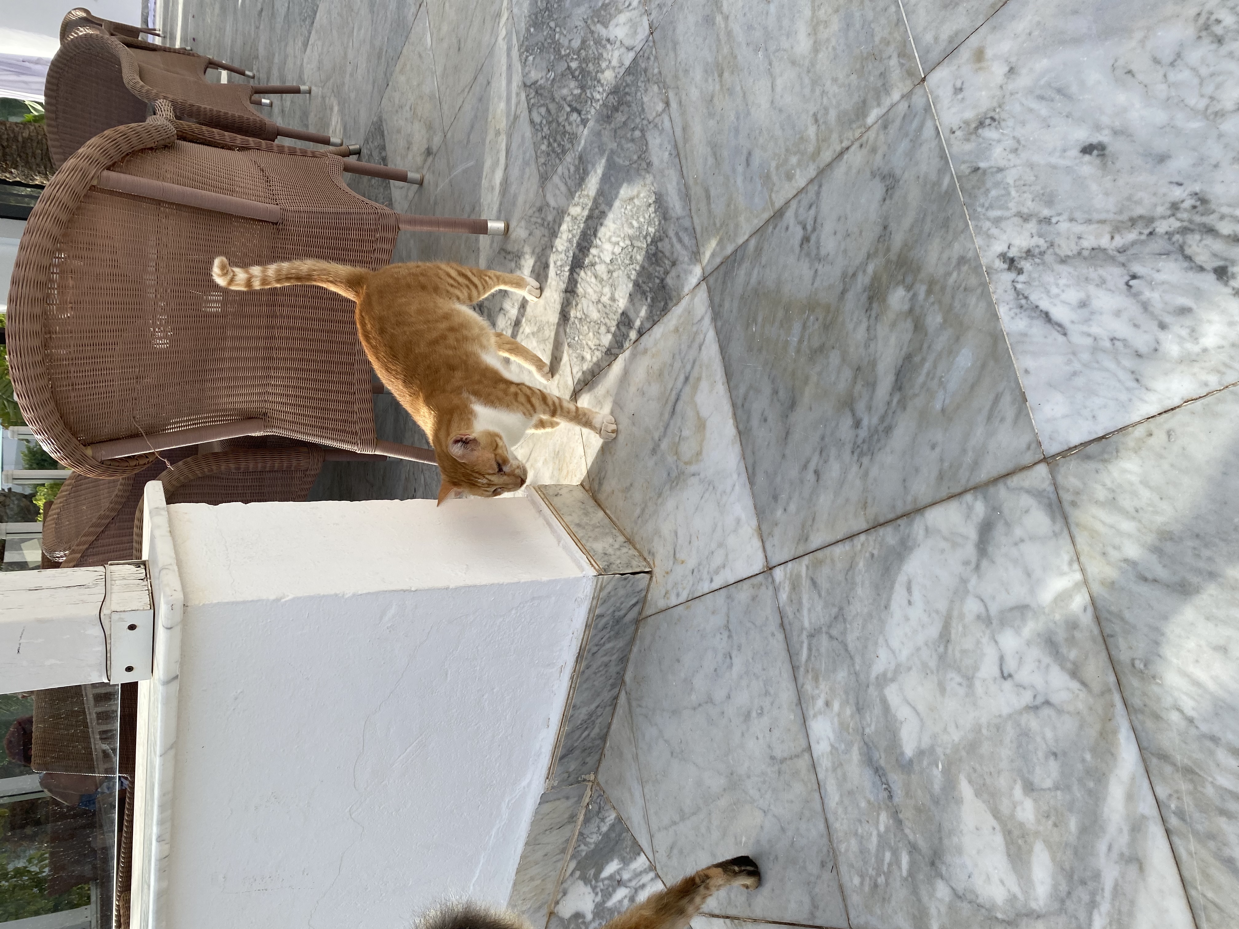 Фото Fiesta Beach