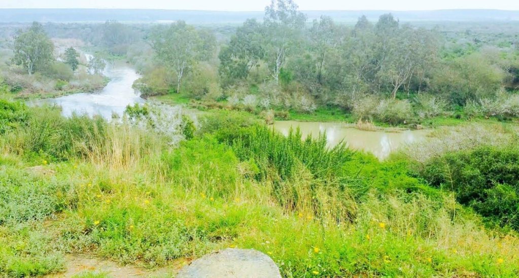 Фото River Front Estate