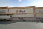 Giant Food (United States, Millsboro, 25939 John J Williams Hwy), grocery