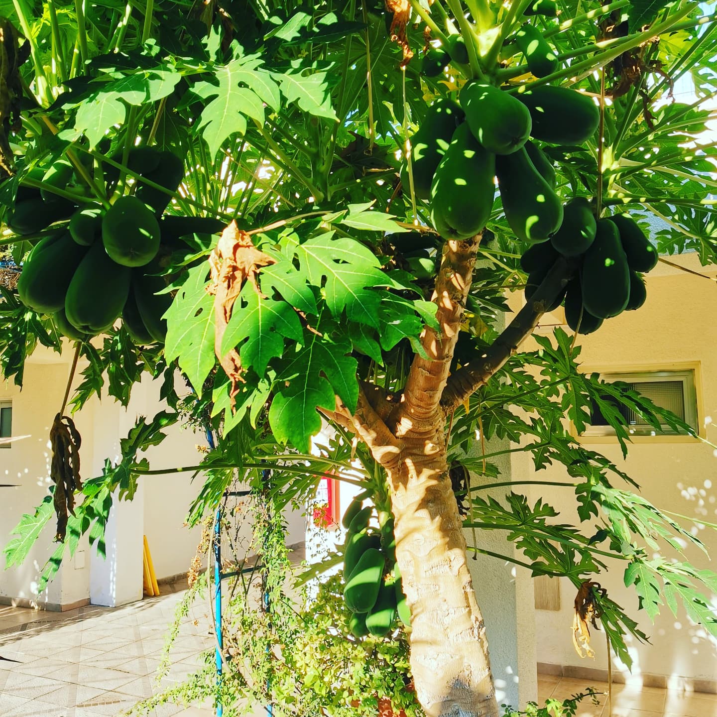 Фото Helios Bay Hotel and Suites