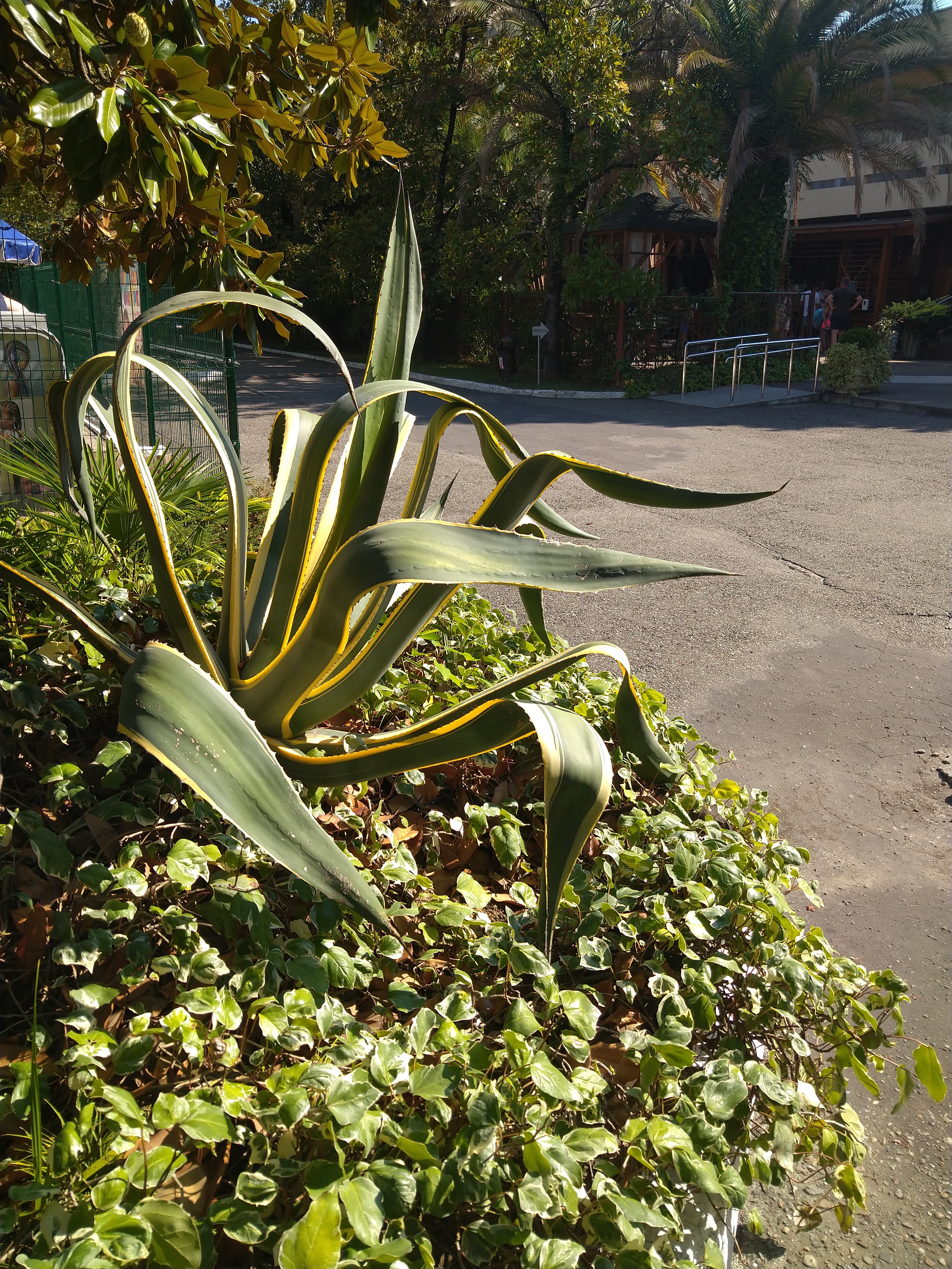 Фото Бургас