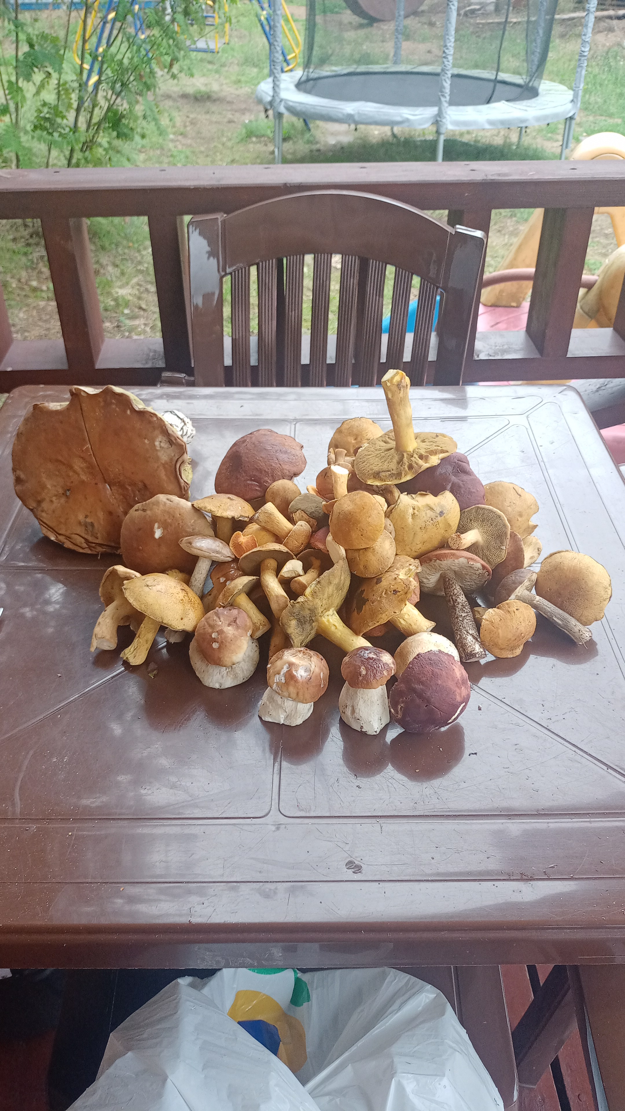 Фото Подборовье