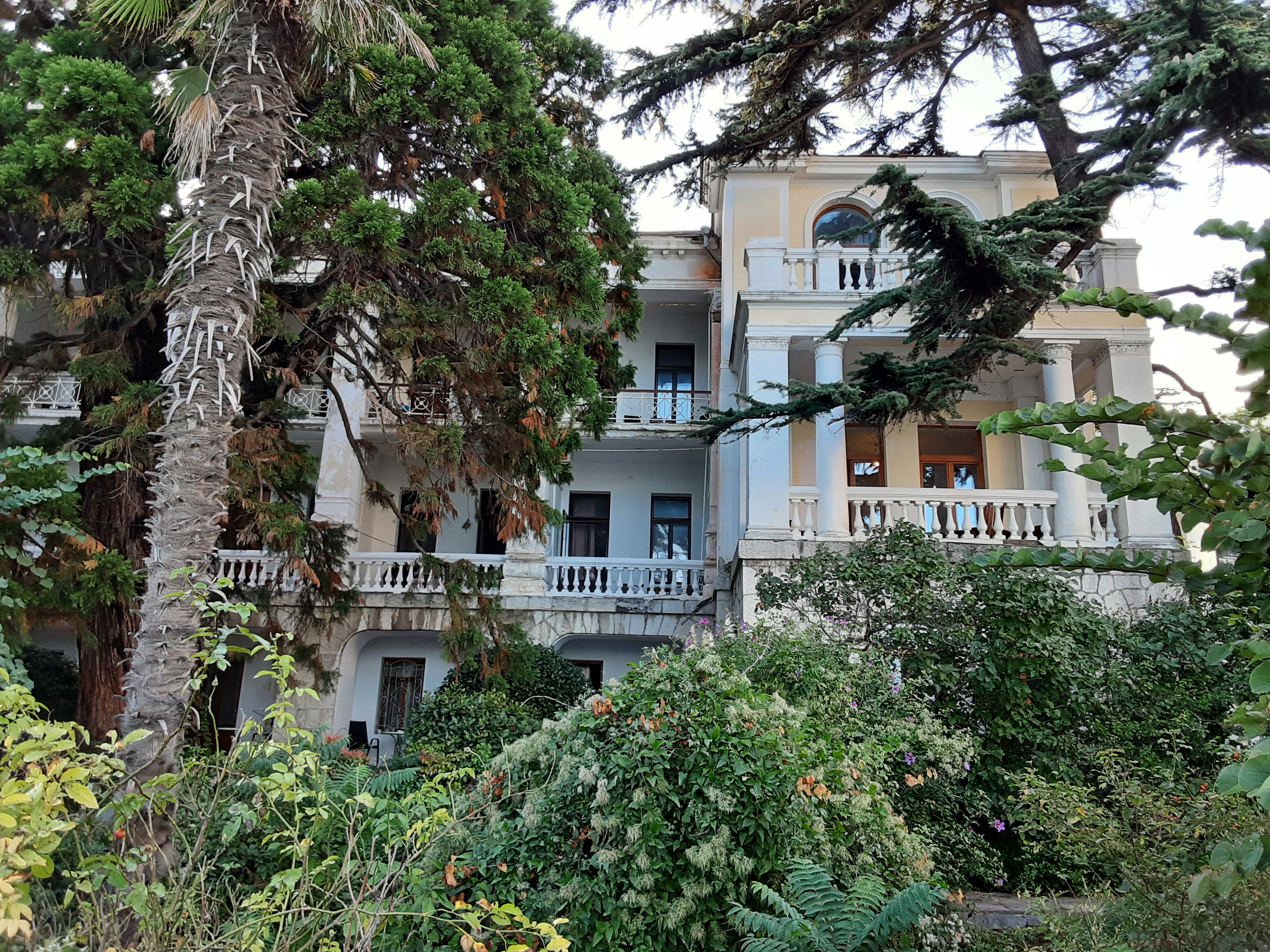 Фото Лиго Морская