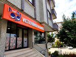 Vetes Veterinary Clinic (Ankara Province, Cankaya District, Kırkkonaklar Mah., 310. Sok., 2) ، عيادة بيطرية