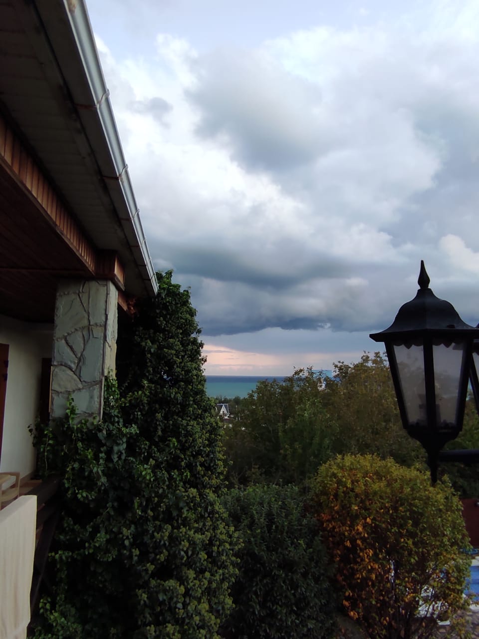 Фото Альбатрос