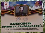 Валентине Степановне Гризодубовой (Village of Vorotynsk, Shkolnaya ulitsa, 21) ، لافتة تاريخية، حجر أساس