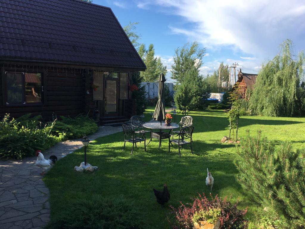 Фото Серый Волк