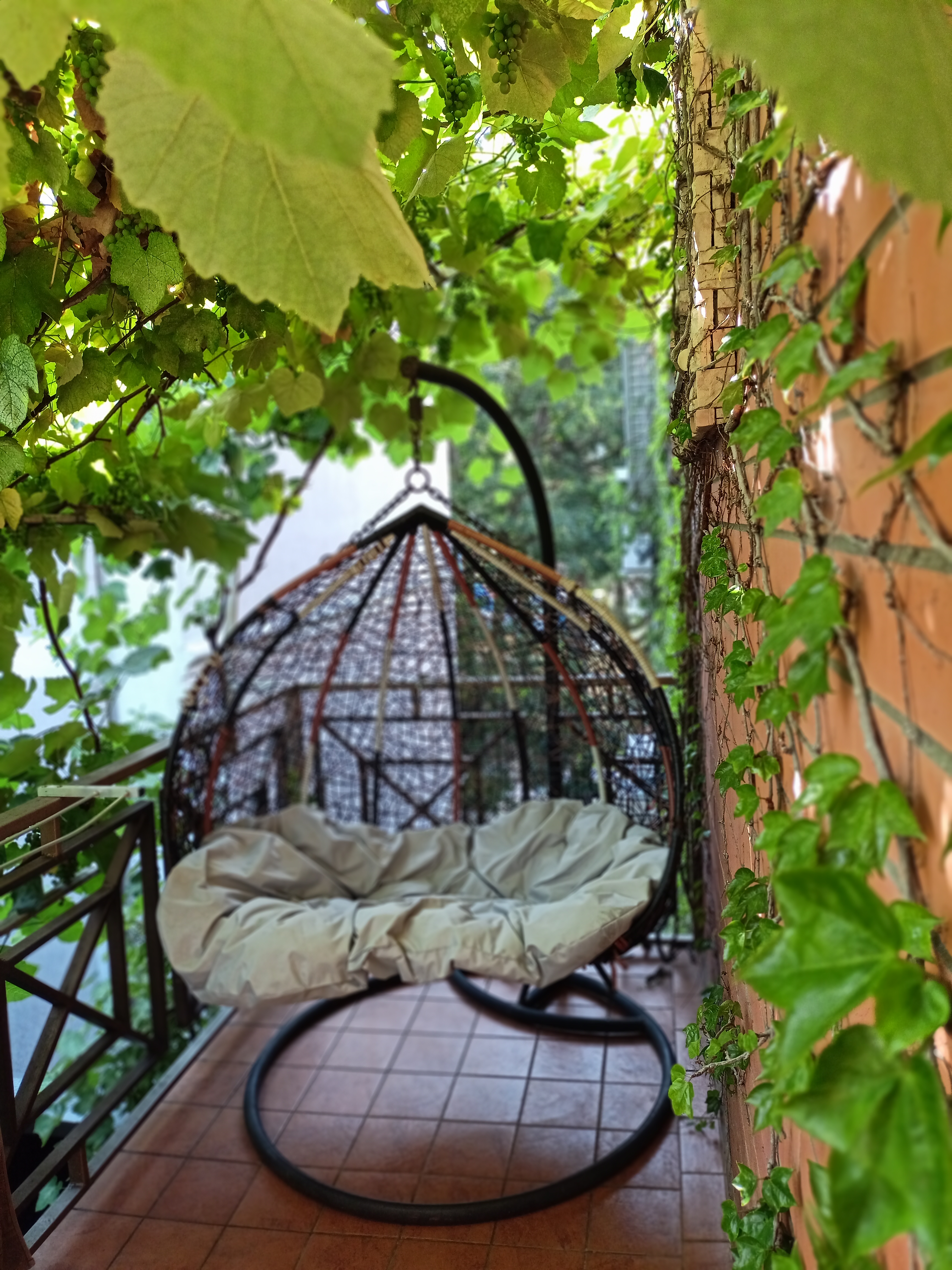 Фото Камелот