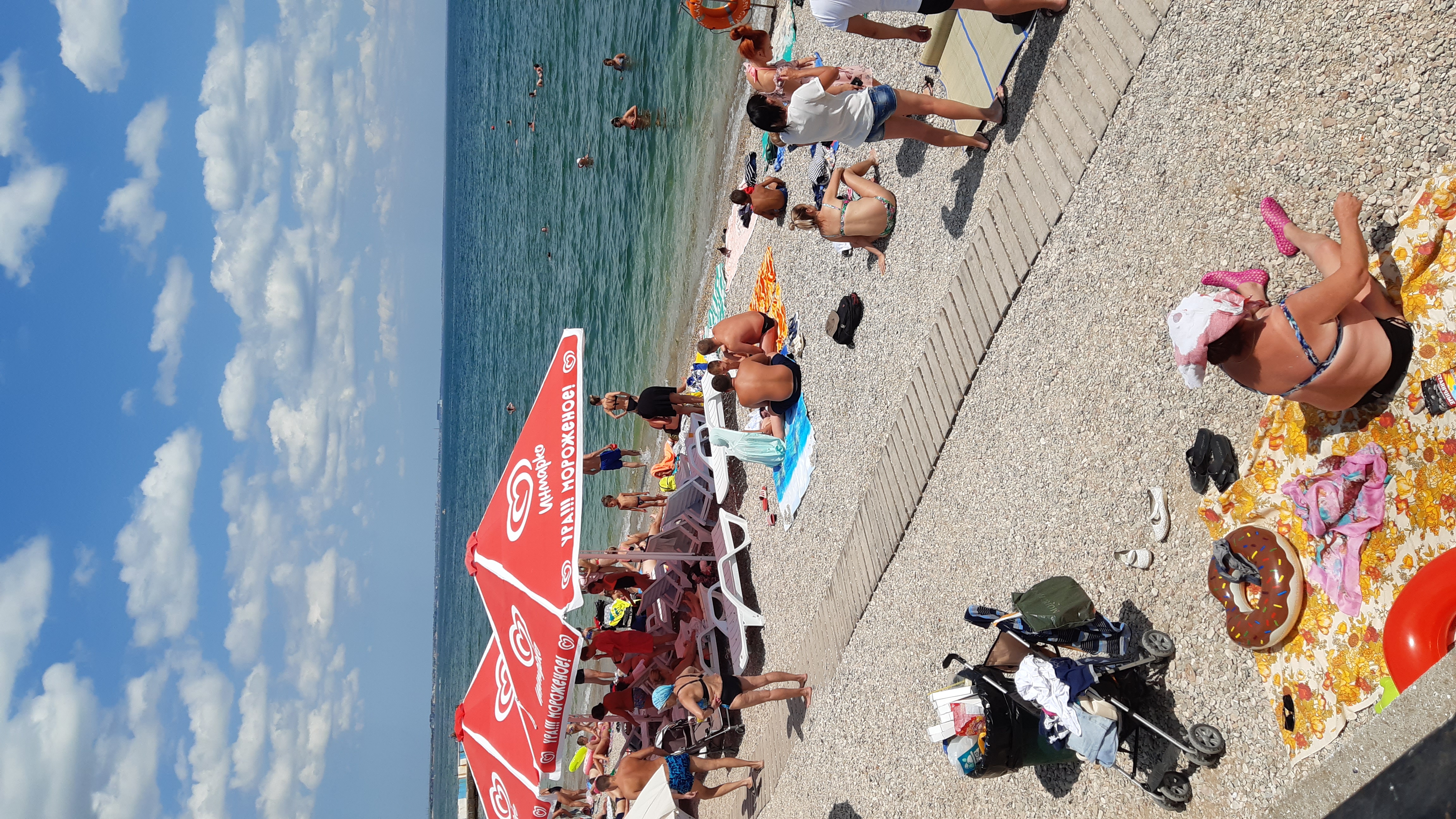 Фото Три сосны