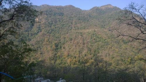 Фото Regenta Inn On The Ganges Rishikesh