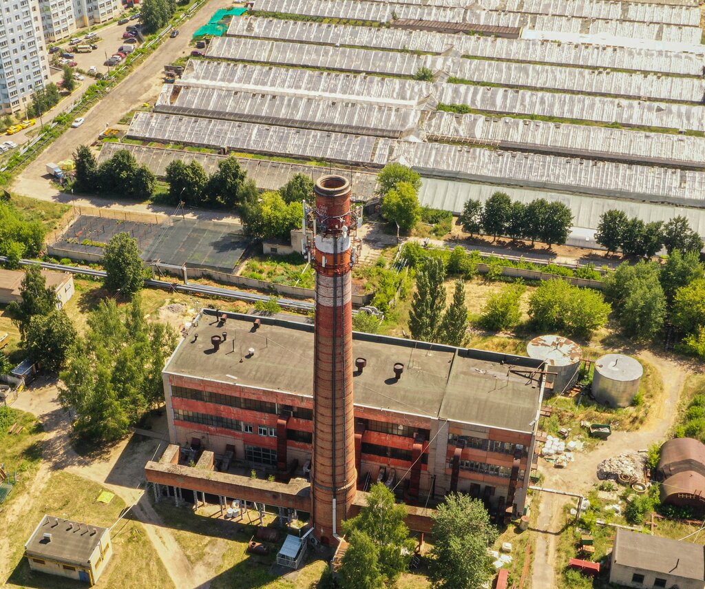 Тепличное хозяйство Агрофирма Подмосковное, Москва и Московская область, фото