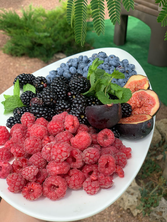 Фото Амидея