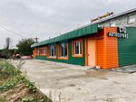 Odidrive (Bolshie Vyazyomy Working Village, Zvenigorodskoye shosse, 110/48), car service, auto repair