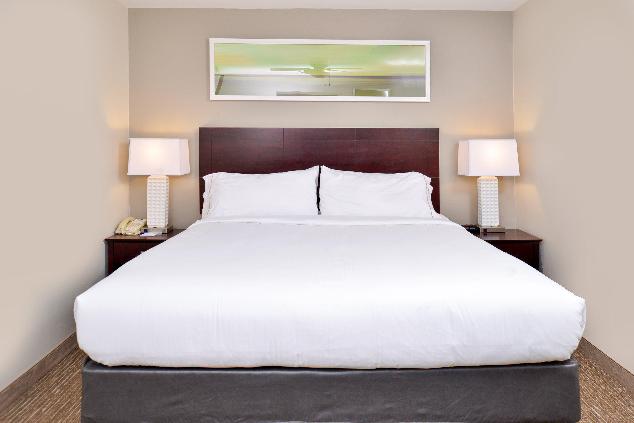 Фото Holiday Inn Express Hotel & Suites Lafayette, an Ihg Hotel