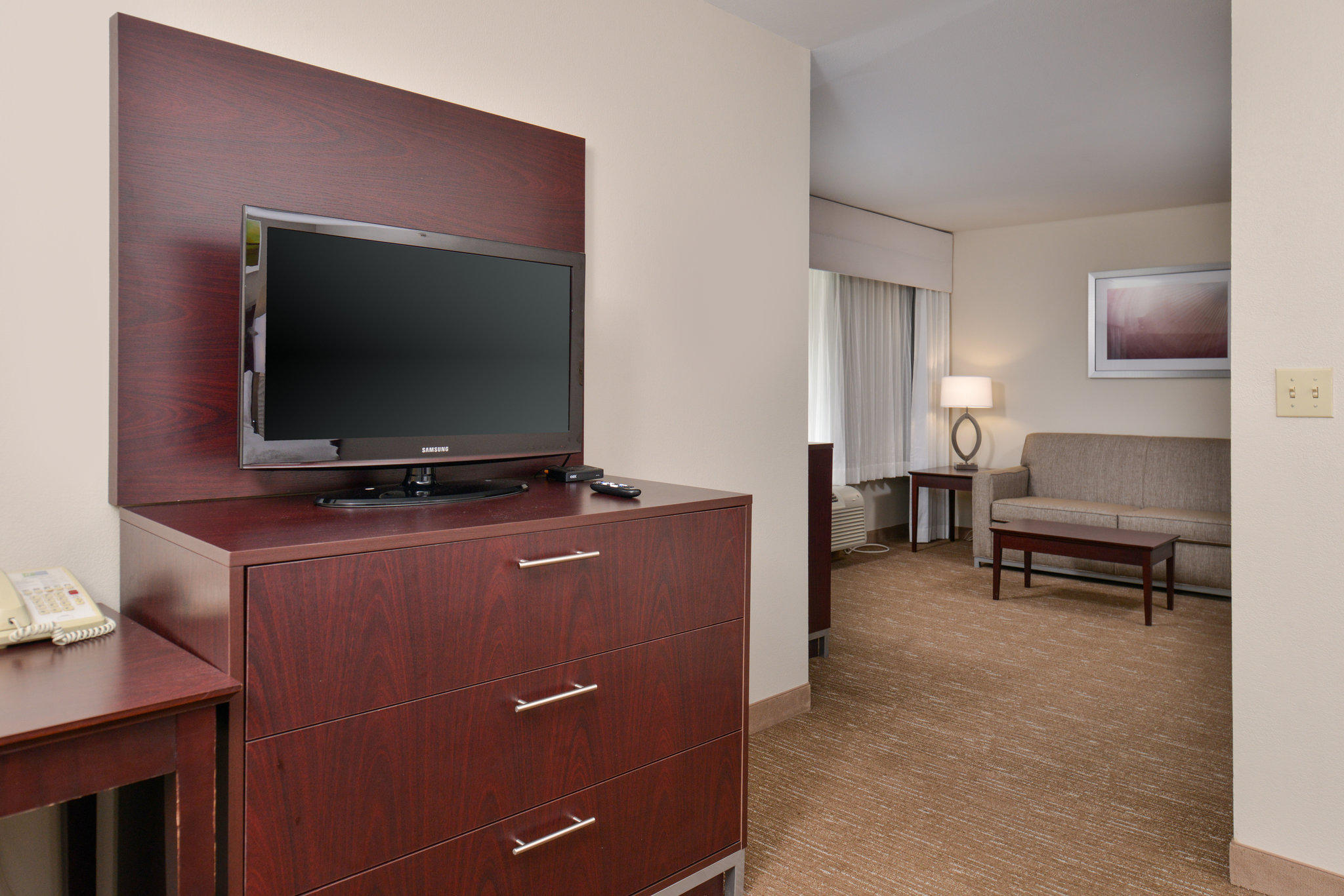 Фото Holiday Inn Express Hotel & Suites Lafayette, an Ihg Hotel