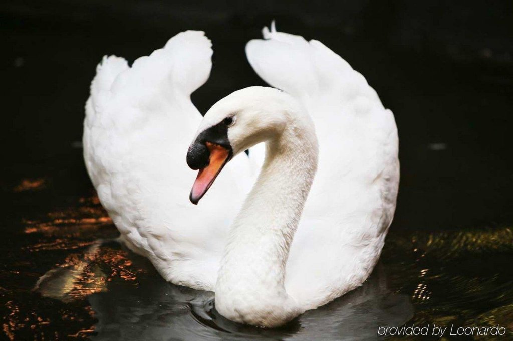 Фото Embassy Suites by Hilton Austin Arboretum