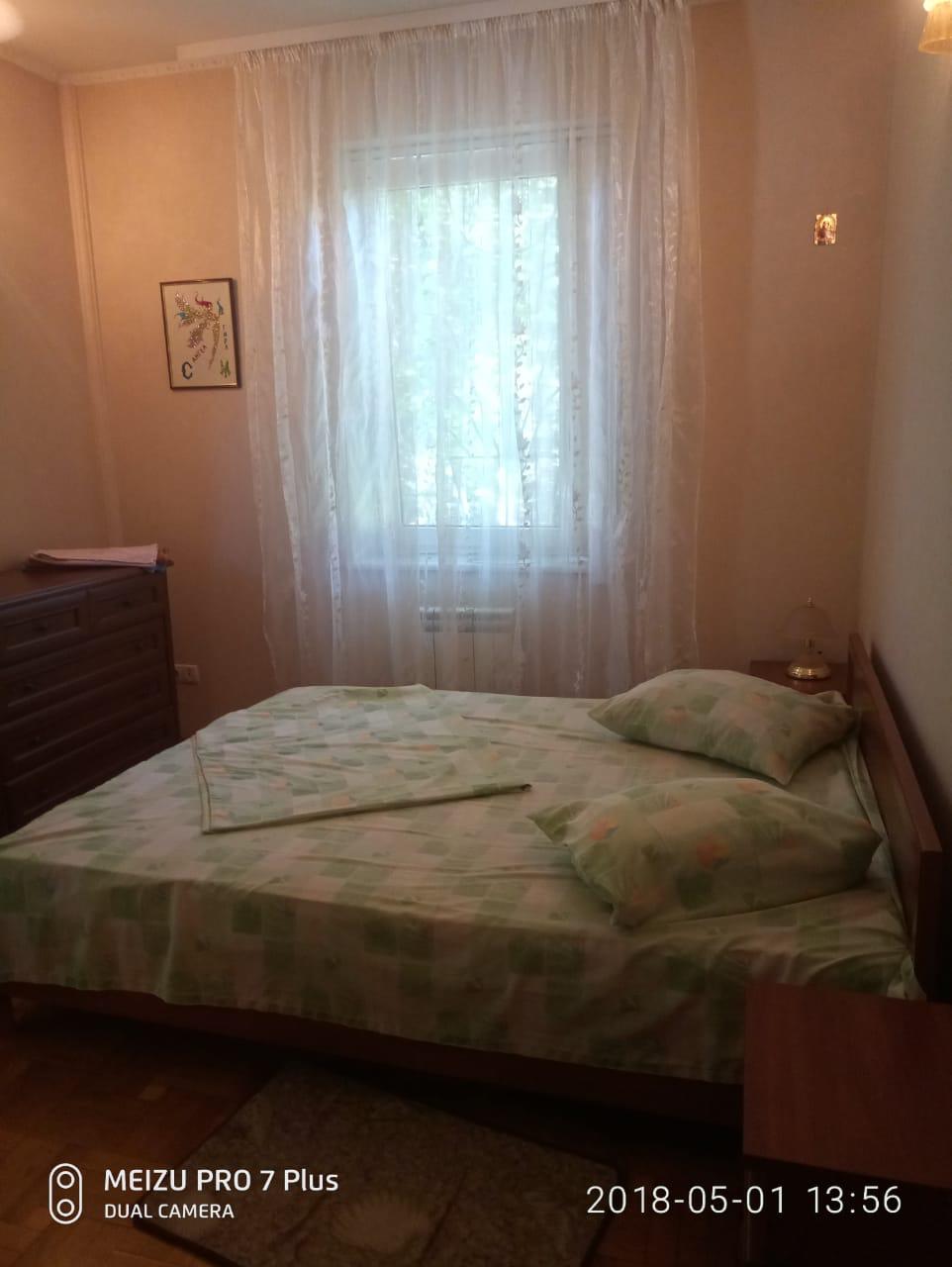 Фото Сосна и Пальмы