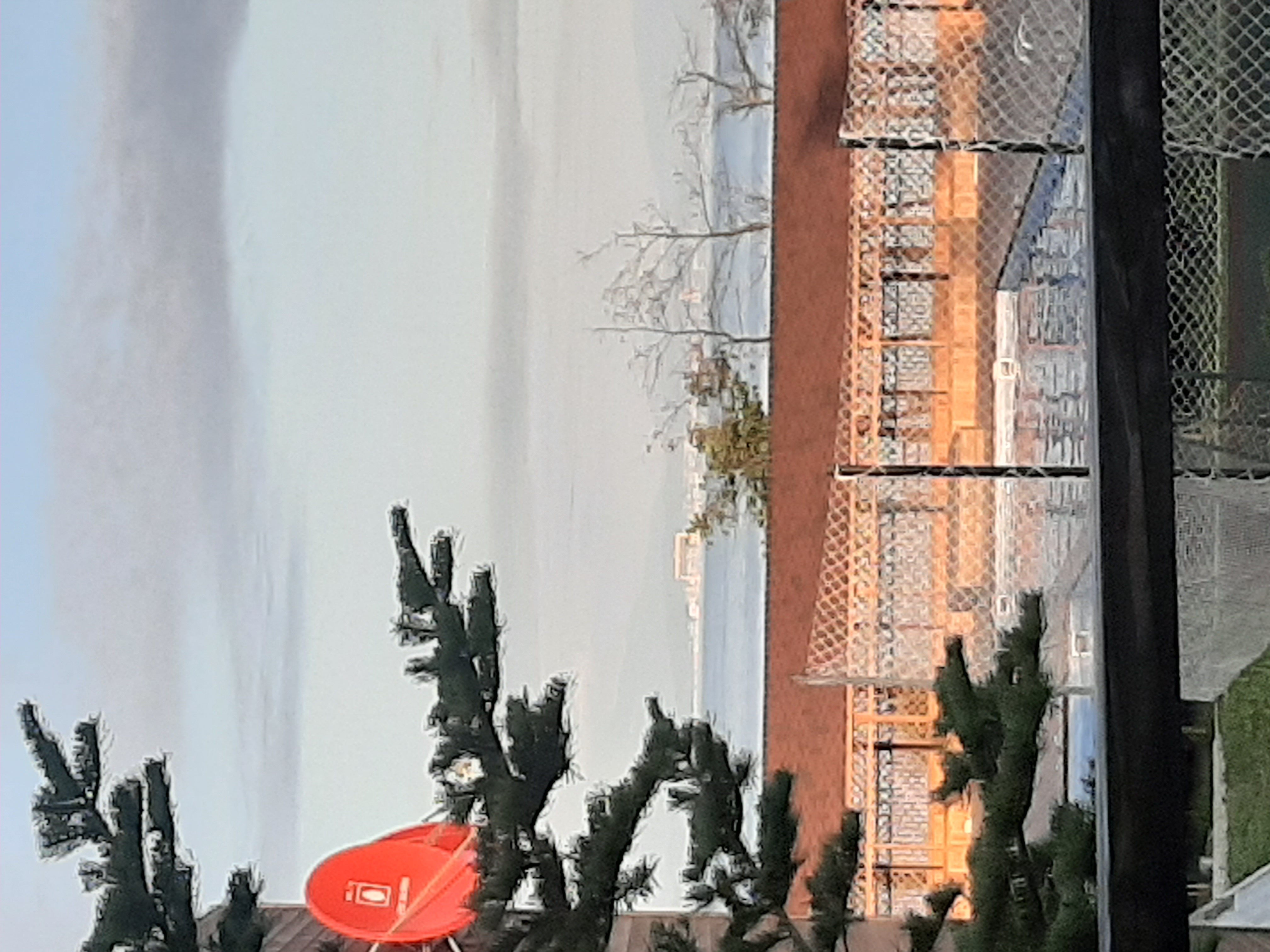 Фото Алые паруса