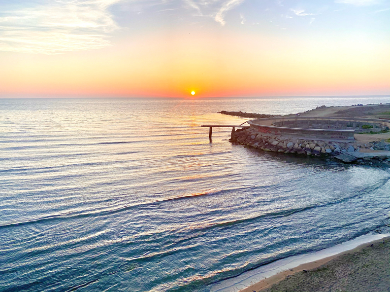 Фото Белый медведь
