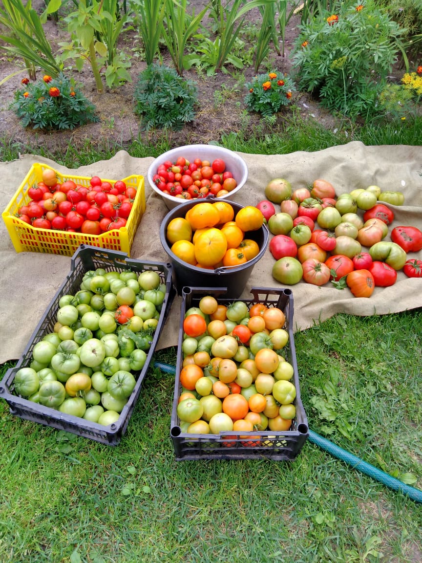 Фото В гостях у тёти Гали