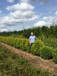 Звенигородский центр садоводства (Московская область, Одинцовский городской округ, территориальное управление Захаровское, пос. подсобного хозяйства МК КПСС), питомник растений в Москве и Московской области