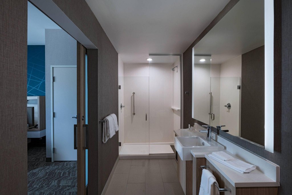 Фото Springhill Suites by Marriott Waco