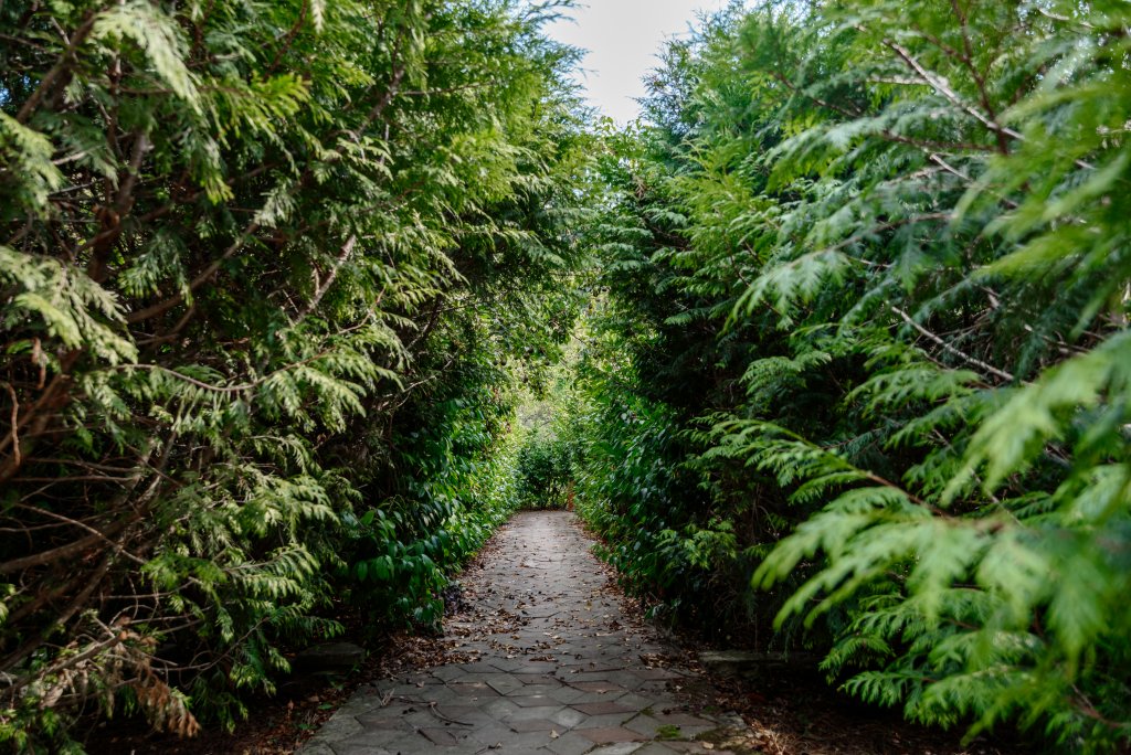 Фото Отрада