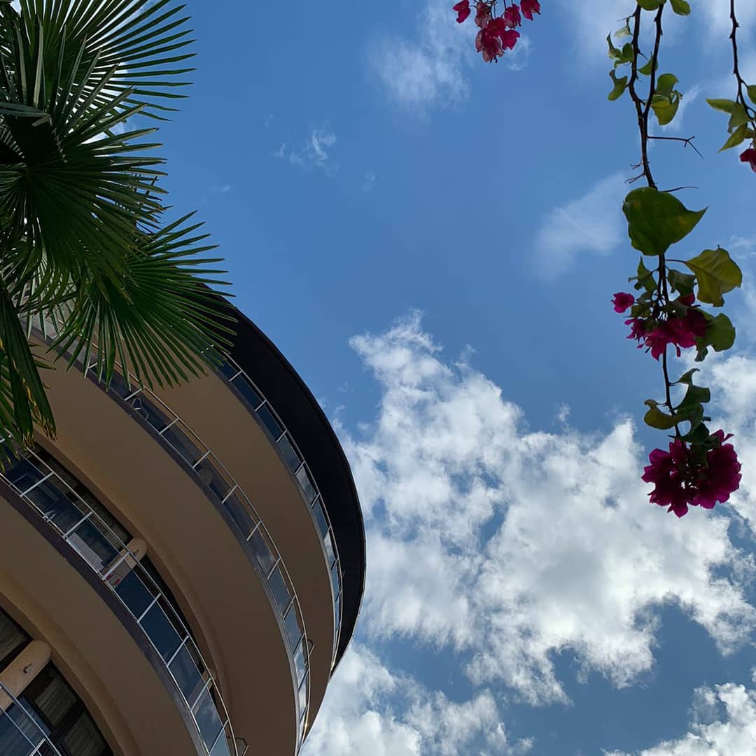 Фото Кардинал