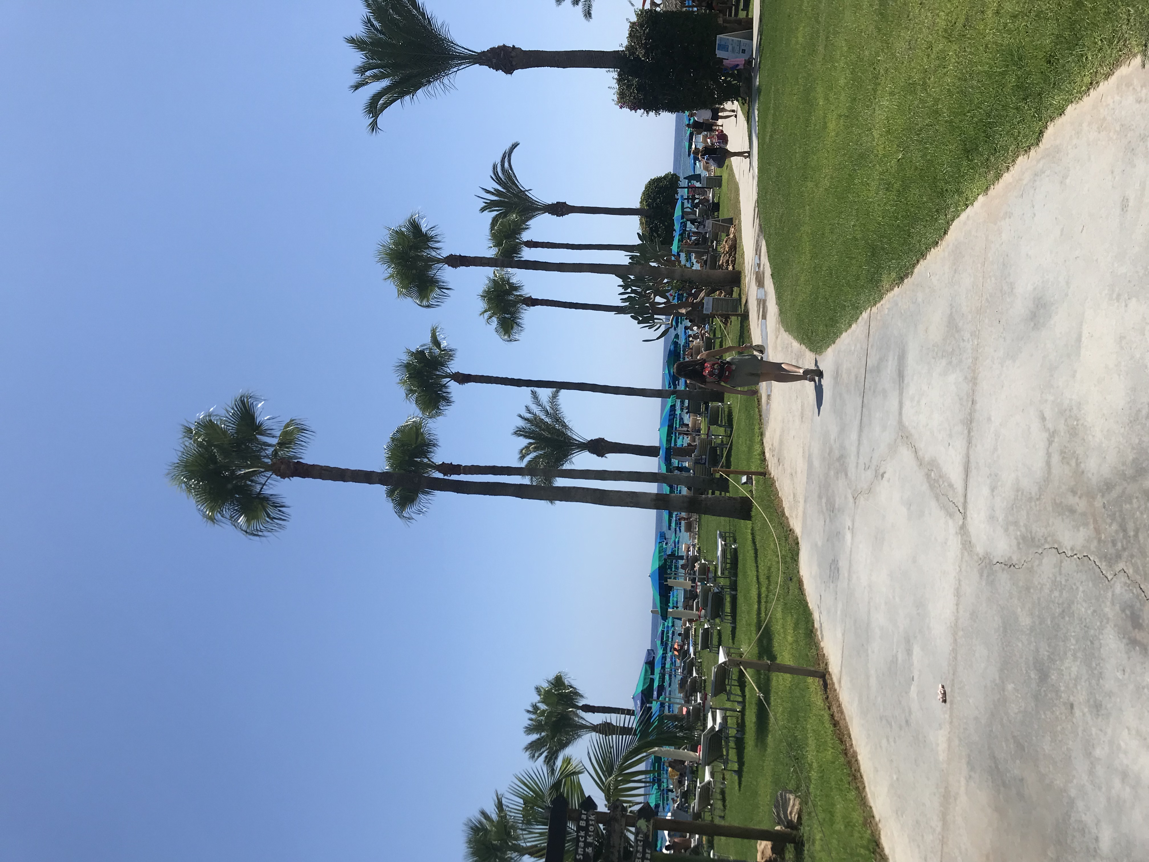 Фото Rio Gardens