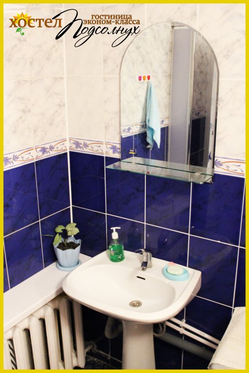 Фото Подсолнух