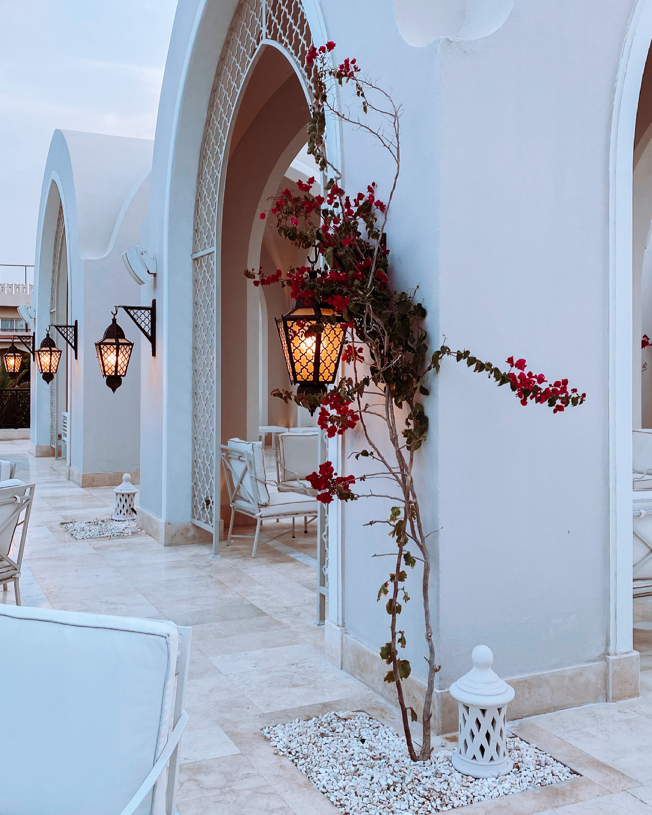 Фото Steigenberger Alcazar