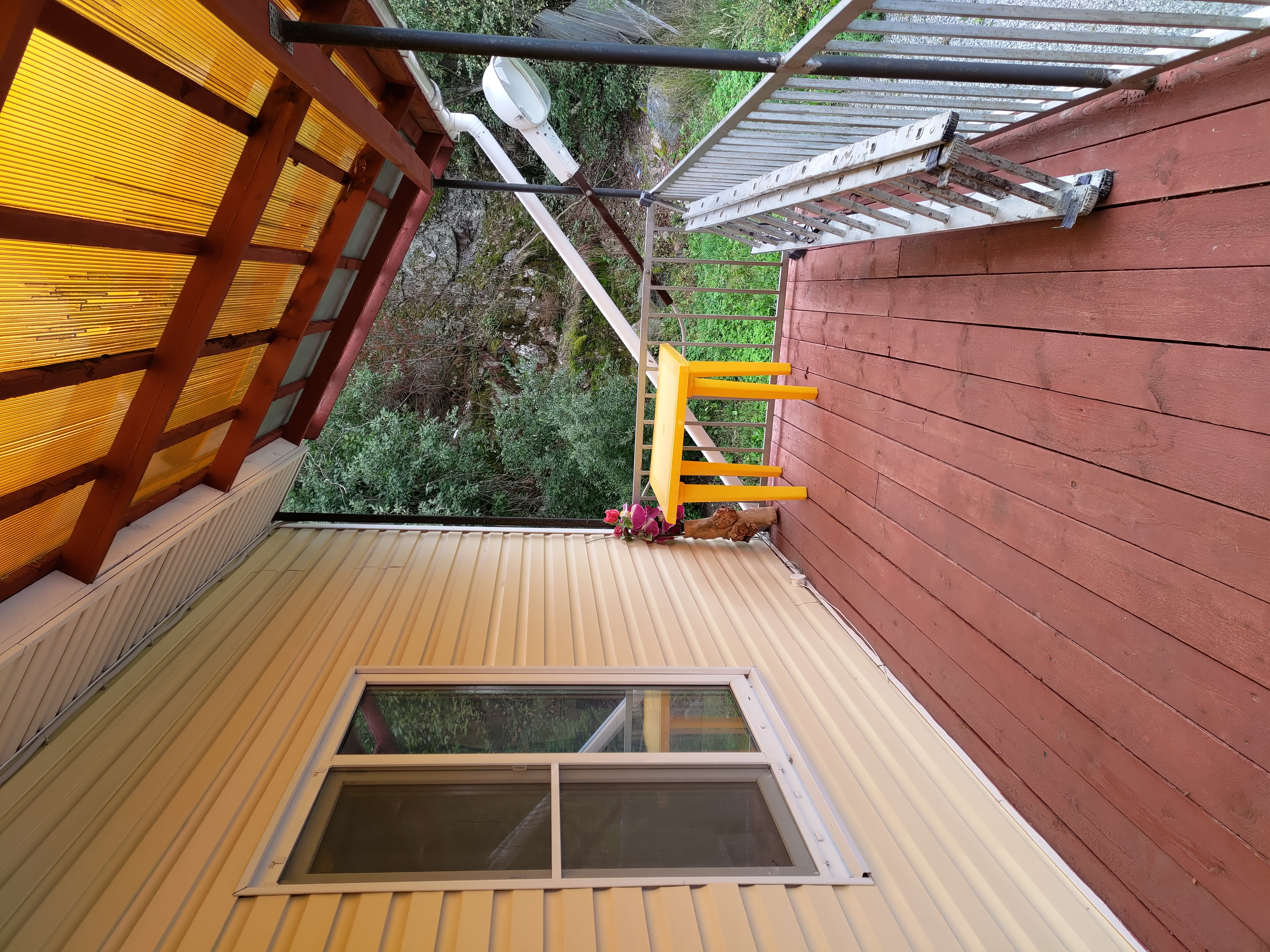 Фото Благодать