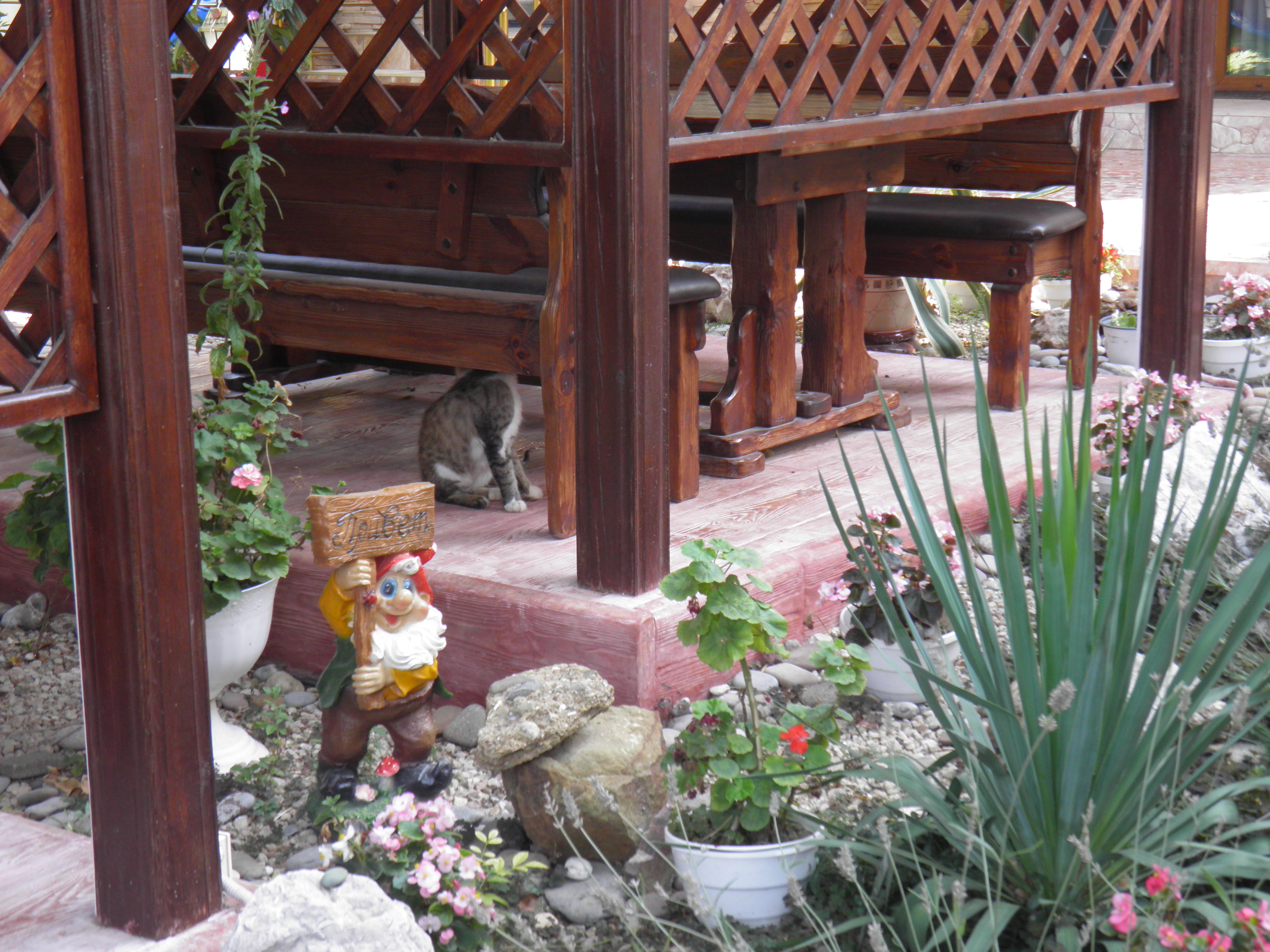 Фото Вилла Gialla