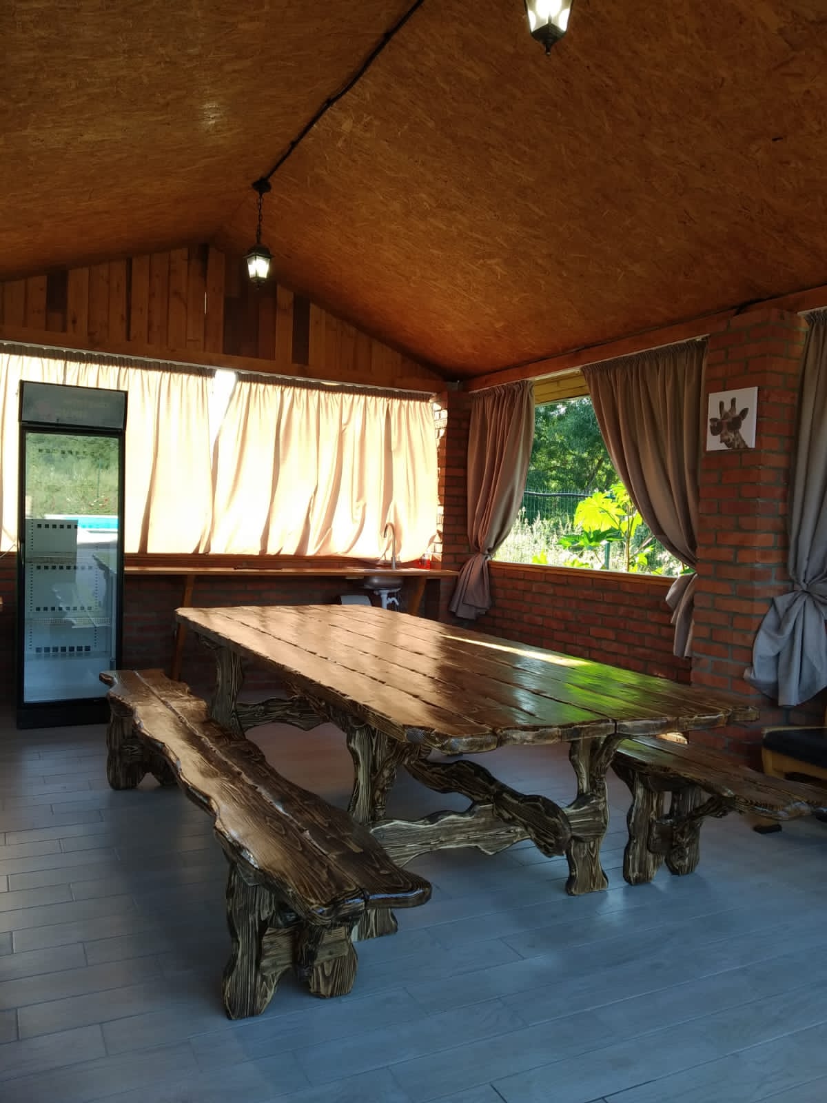 Фото Кипарис