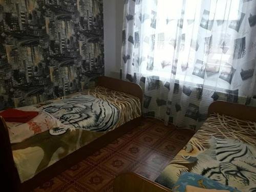 Фото Фортуна