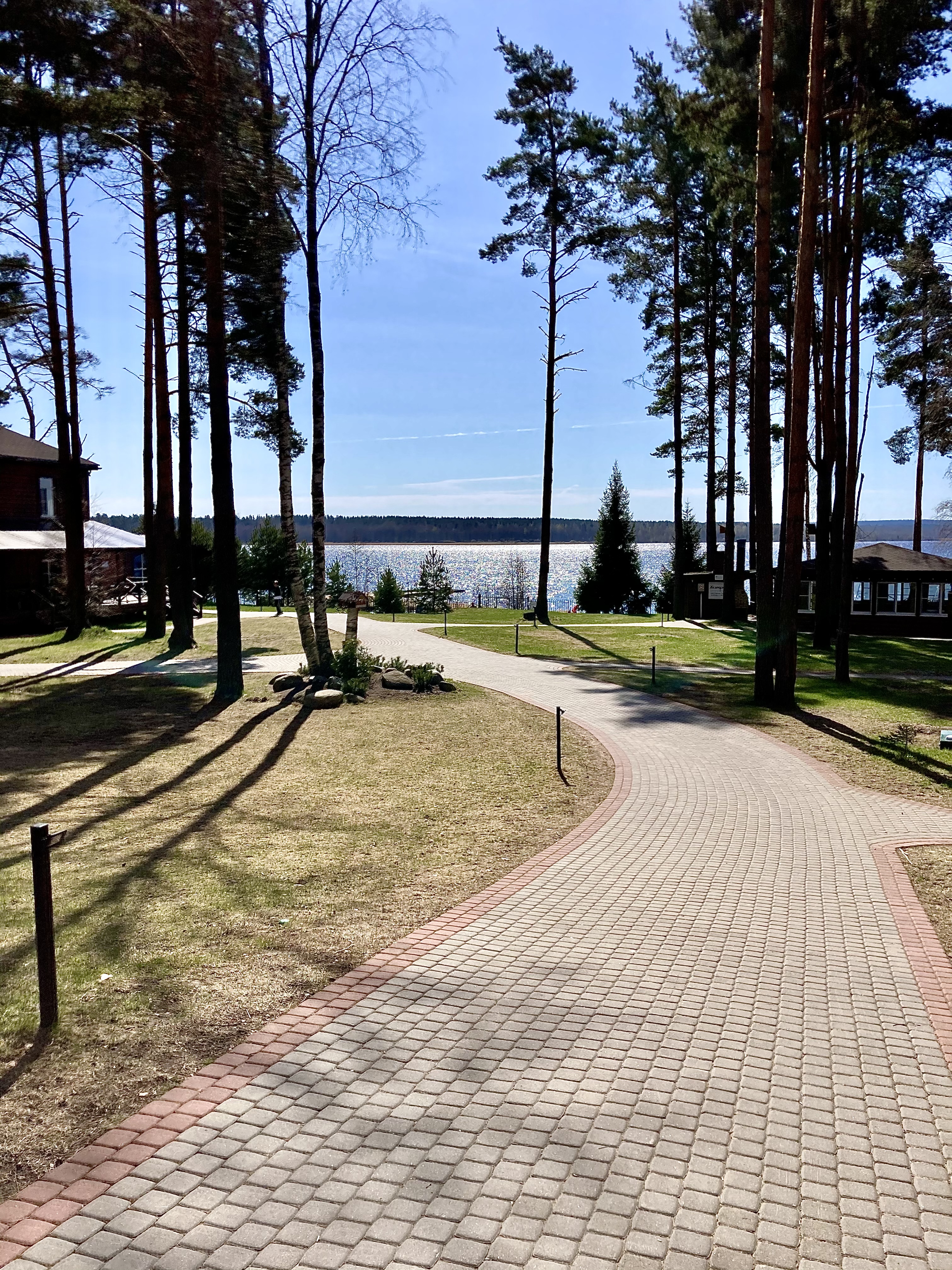 Фото Жемчужина